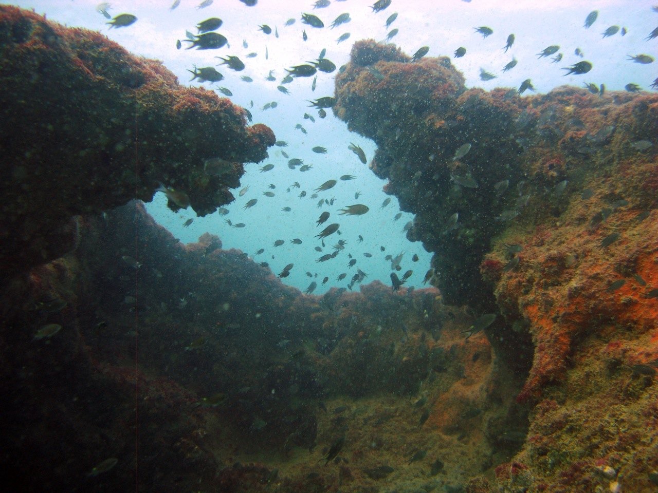 chabahar-diving-cottage