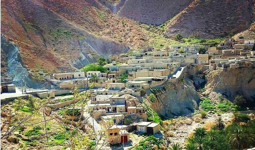 Figs-Mountain