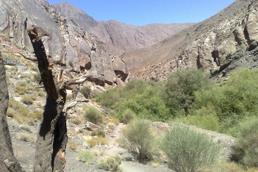 دره شنگستان کرمان