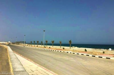 کمپ پارک سوزا در قشم