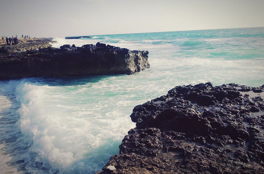 kolbe-hor-kish