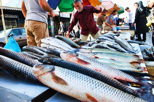 Bushehr fish market.sepehr seir
