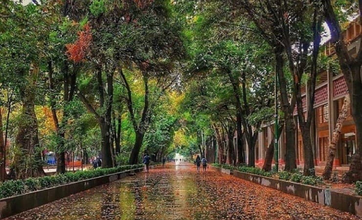 Four-Abbasid-Gardens