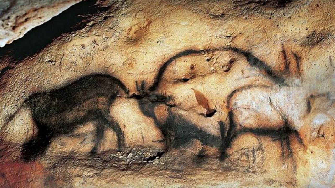 Dushe Cave.sepehr seir