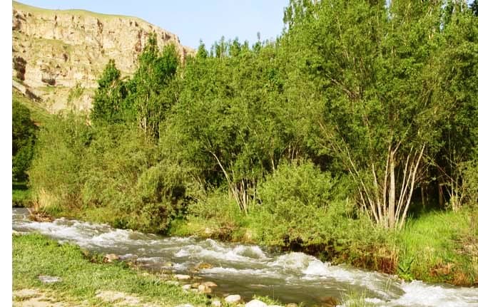 Goldasht Boroujerd.sepehr eir
