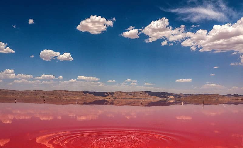 Maharloo Lake - Shiraz -sepehrseir
