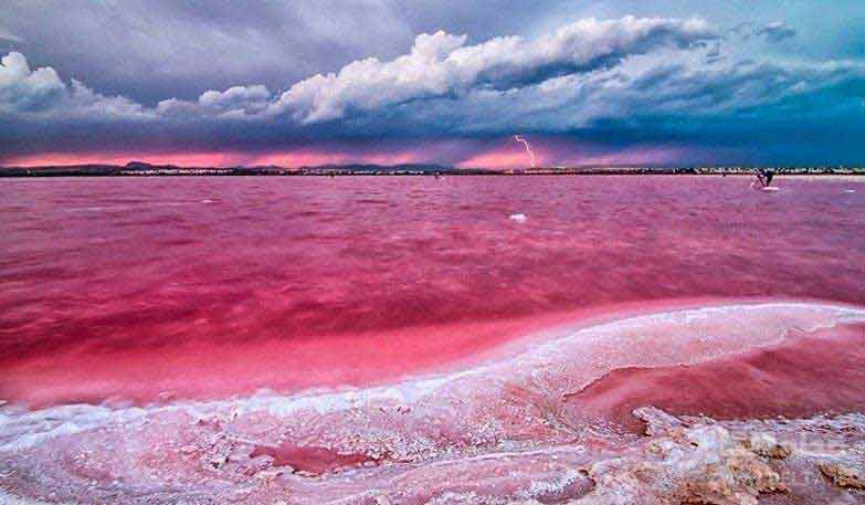 Maharloo Lake - Shiraz -sepehrseir