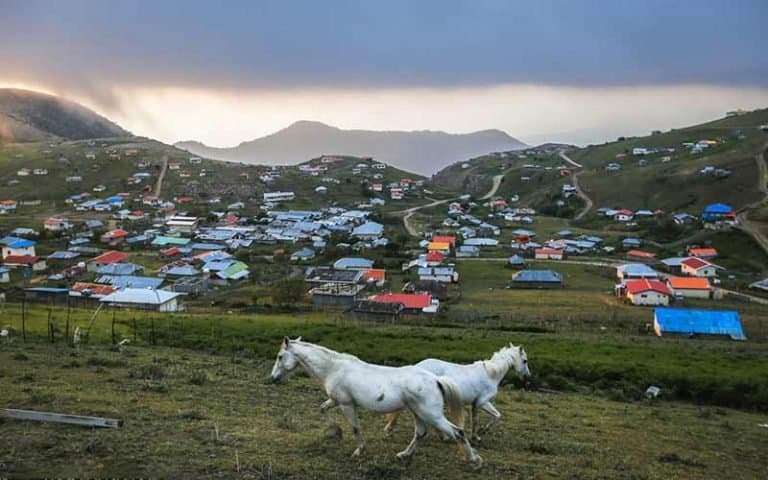 talesh