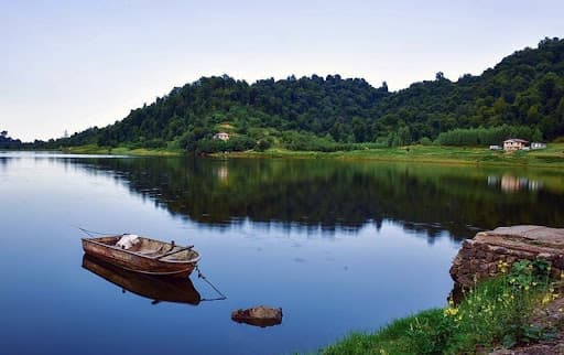talesh