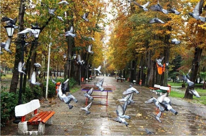 Mohtasham Garden and Pergola Mansion in Rasht