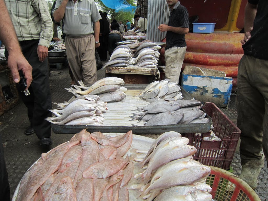 Abadan Fish-Market