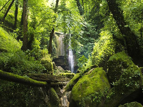 Terez Falls