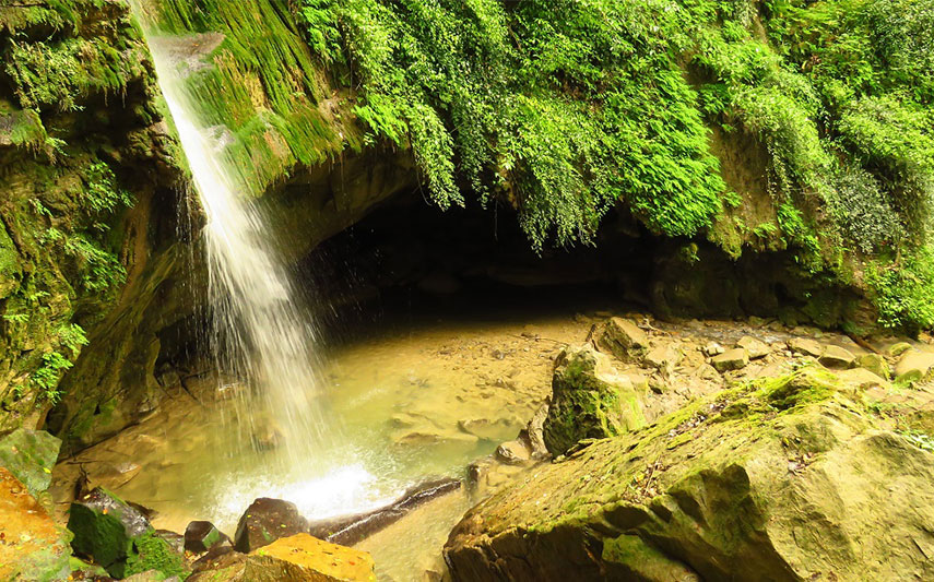 Terez Falls
