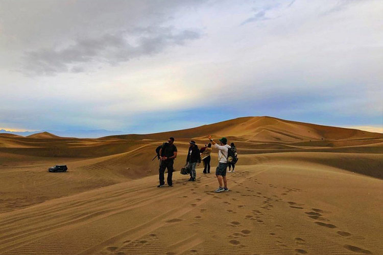 Yazd-Desert-Caracal