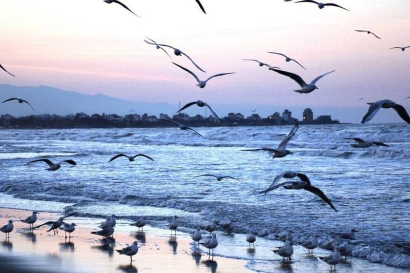 Region - Example of tourism - Sitra