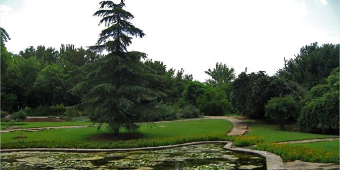 Botanical-Garden