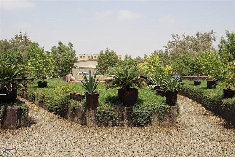 Botanical-Garden