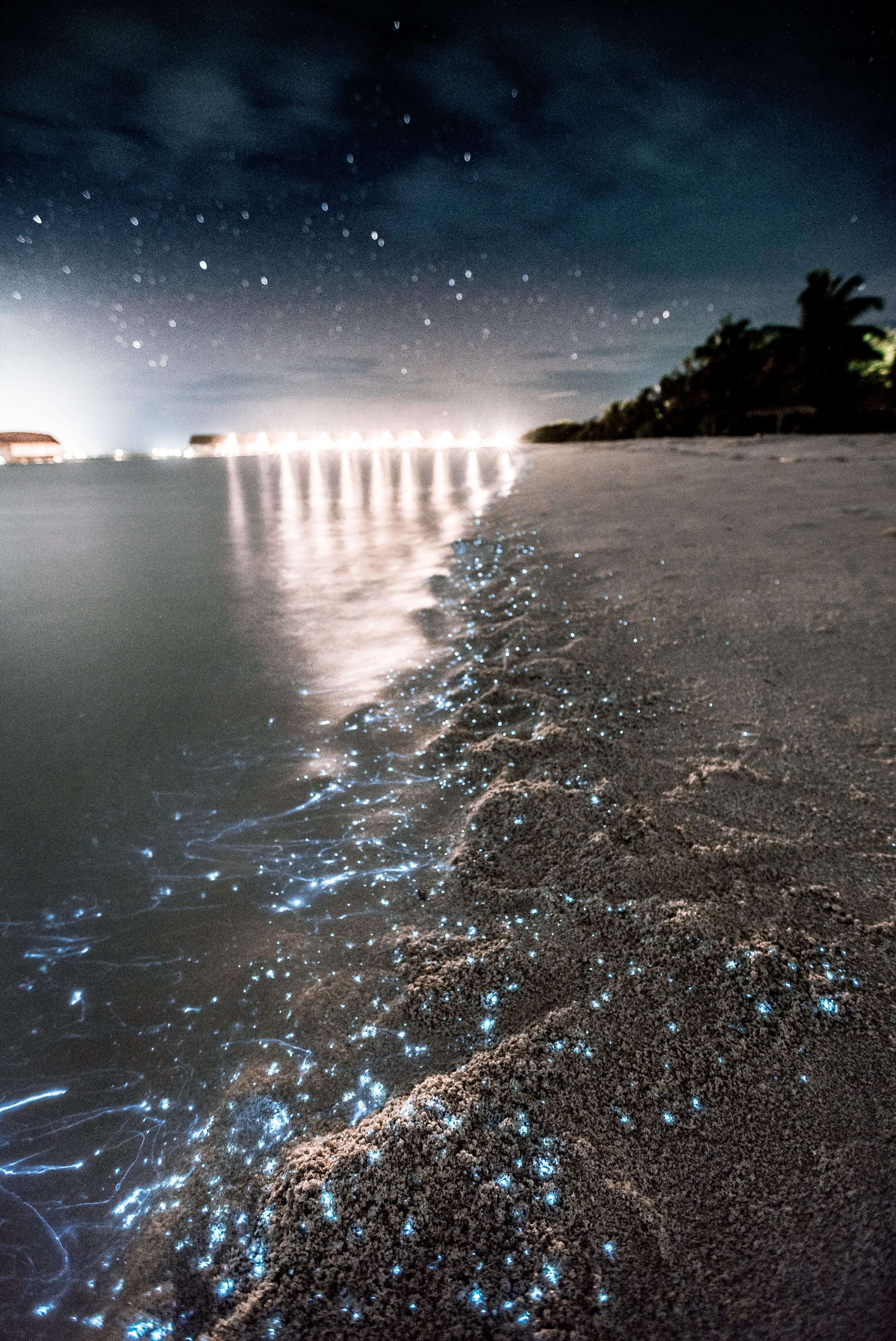 Derek-Chabahar-Beach
