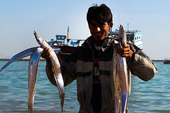 chabahar waterfront pier-sepehrseir