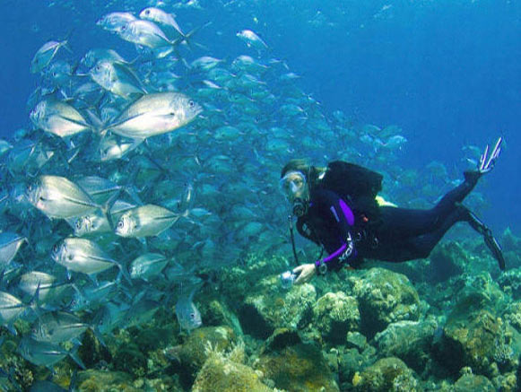 chabahar-diving-cottage