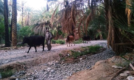  Nahuk County-sepehrseir
