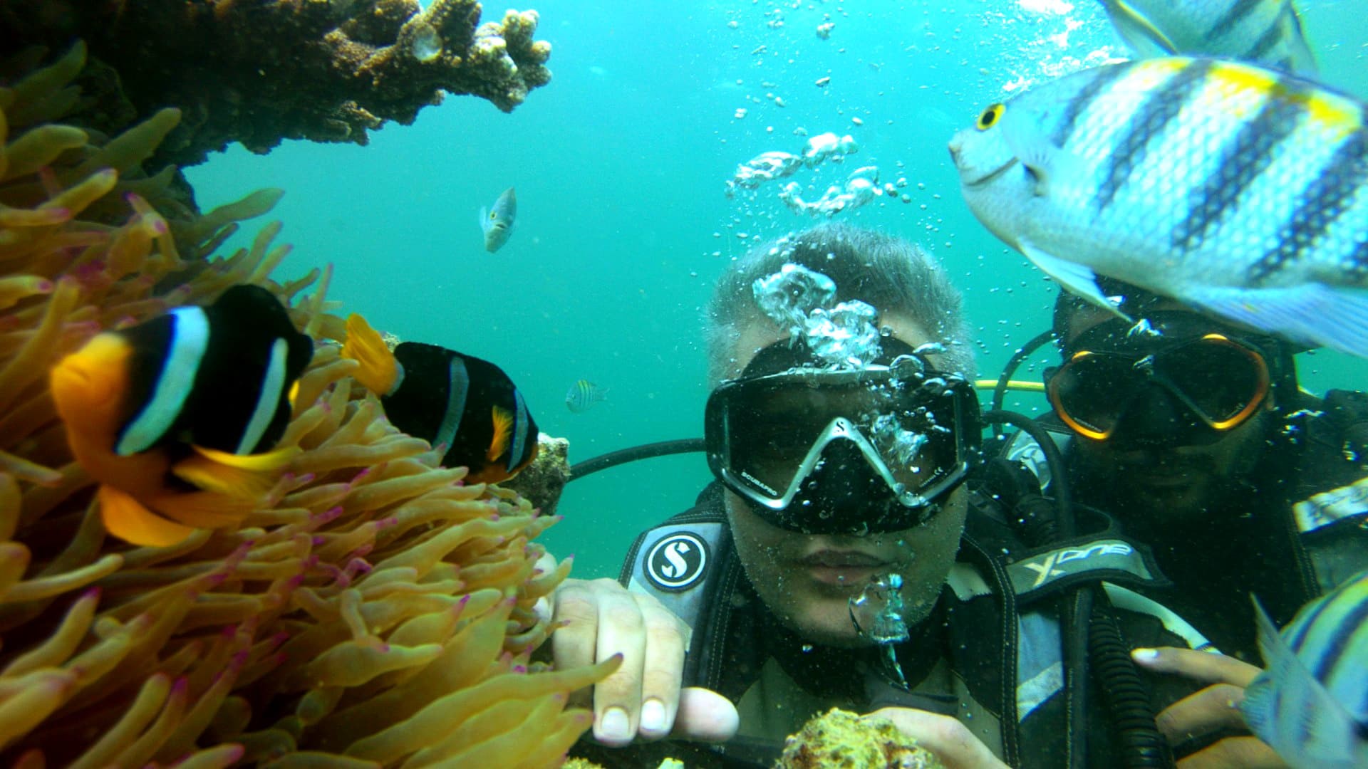 chabahar-diving-cottage