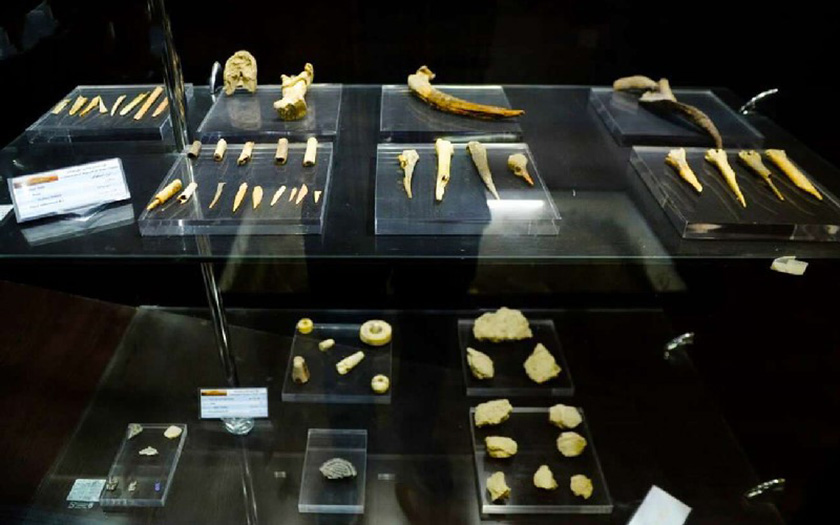  Burnt _City _Museum