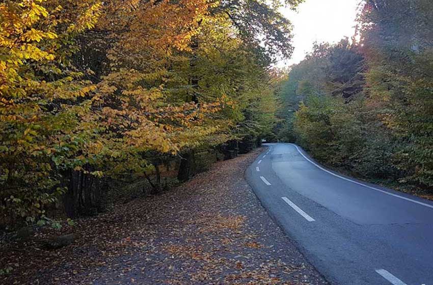 Al-Nagdereh Forest