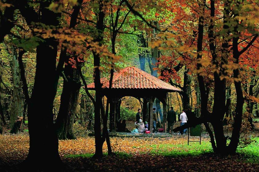 Golestan National Park