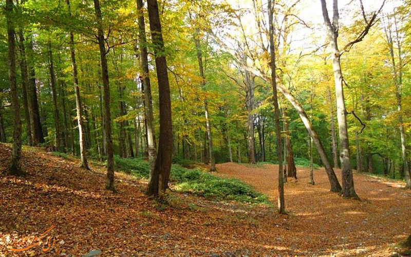 Golestan National Park