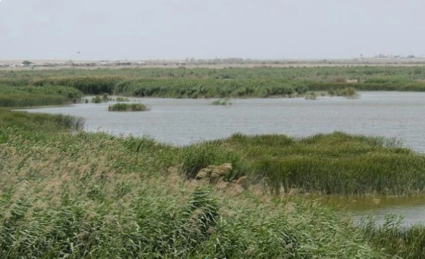 Ala Gol Wetland