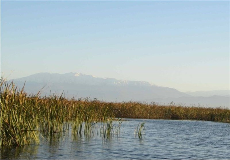 Ala Gol Wetland