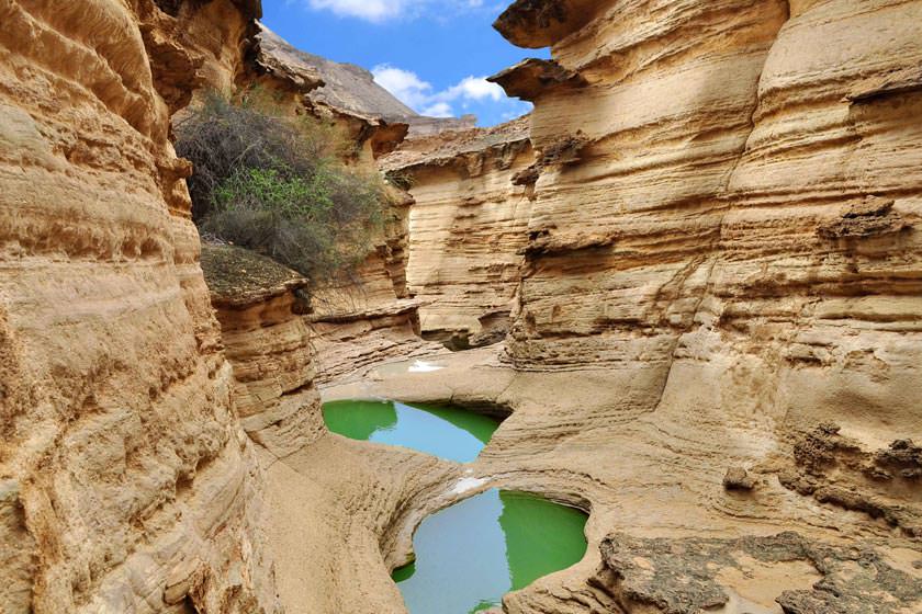 Zheo park-qeshm