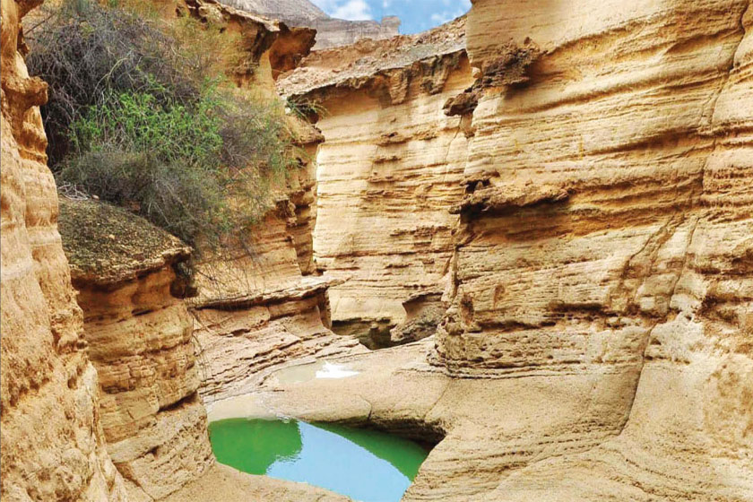 Zheo park-qeshm