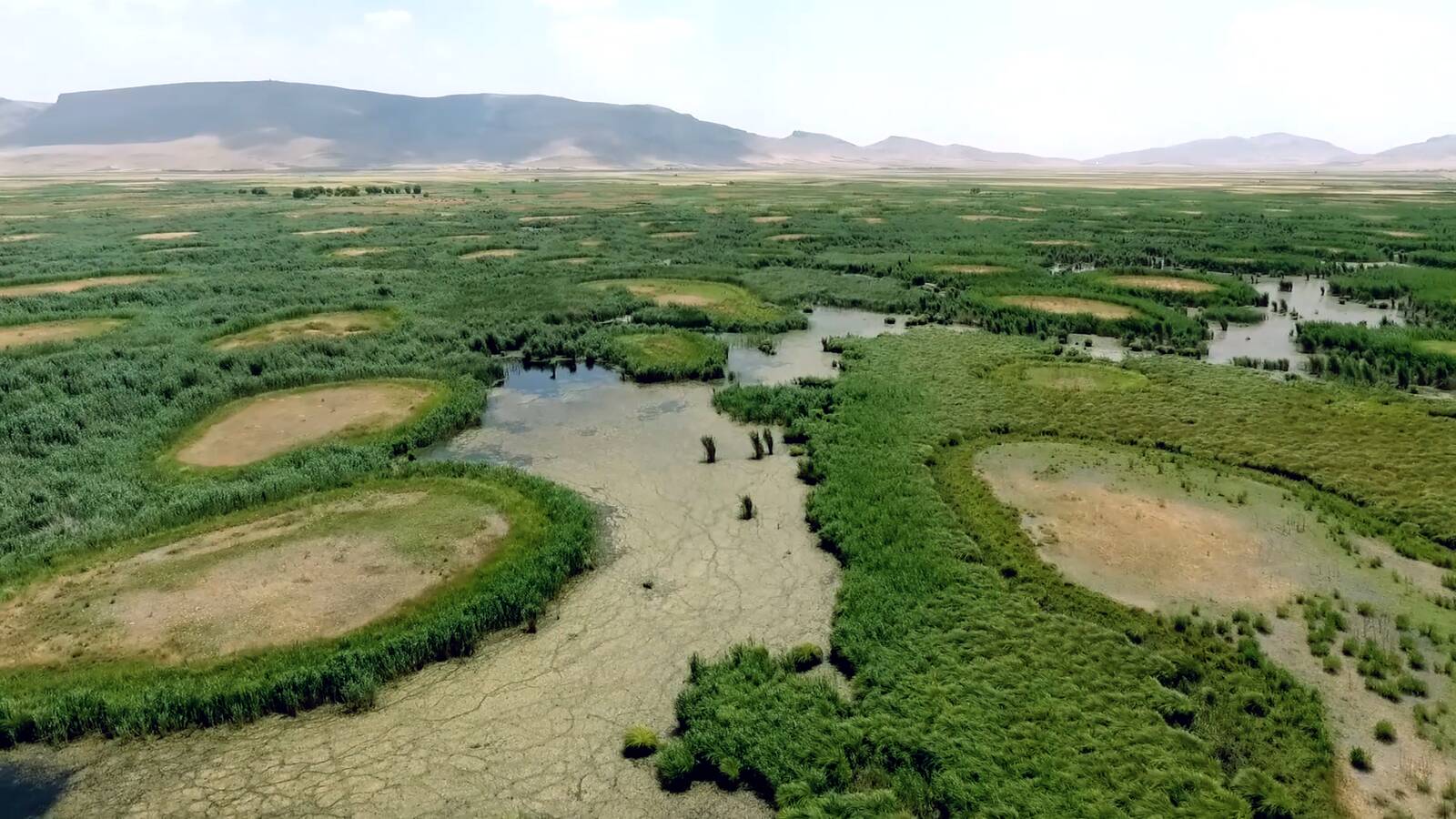 Hashilan-Wetland