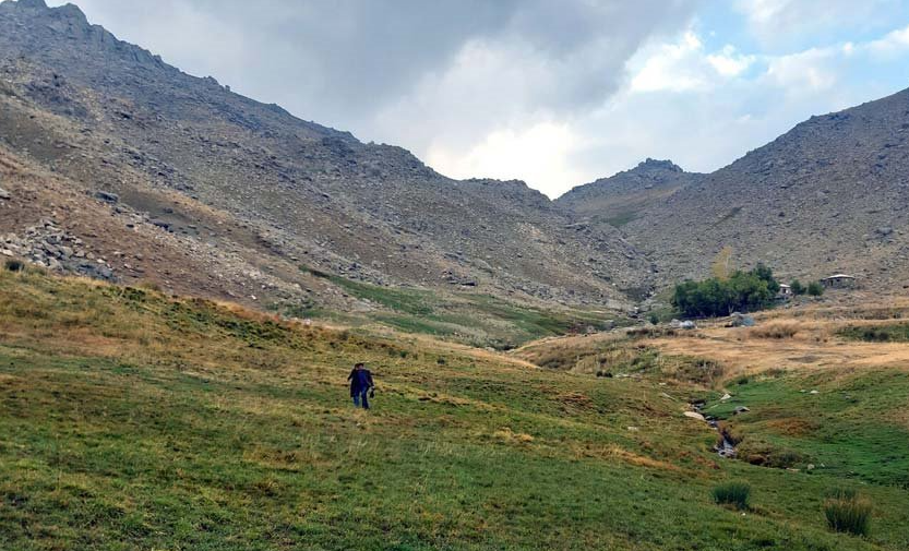 dasht mishan