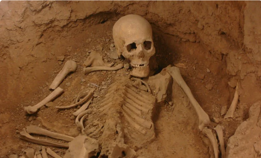 Tabriz Iron Age Museum