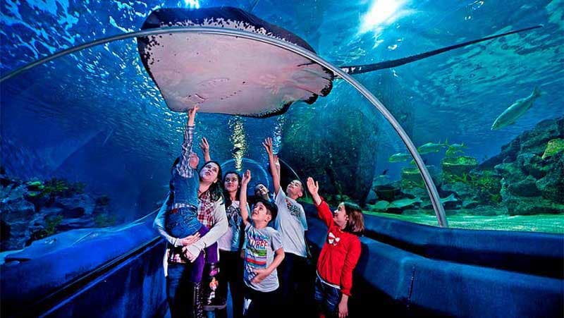  Turkish-Aquarium