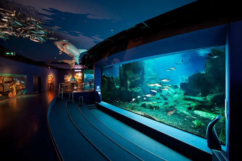  Turkish-Aquarium
