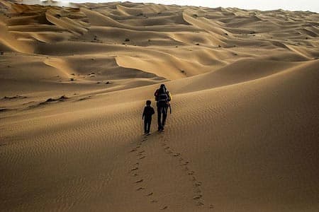 bashroye-desert