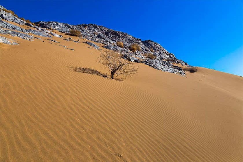 plond-desert