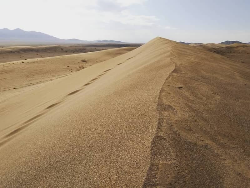 plond-desert