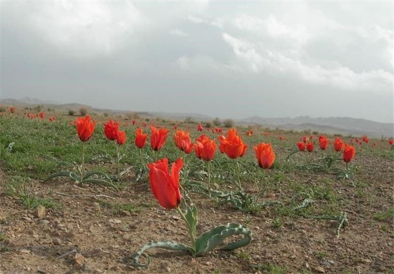  Exemplary-tourist-area-of-​Karimo