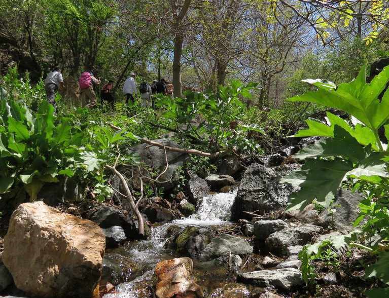 Greene Falls