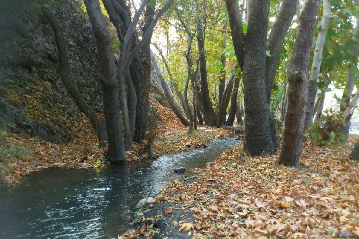 Sar Asyab village