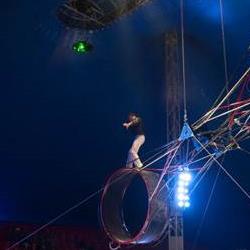Cardinal International Circus {Sun}