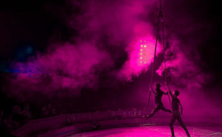 Cardinal International Circus {Sun}
