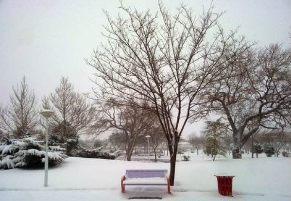 Basij Park
