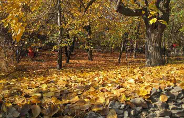  Jagharq village