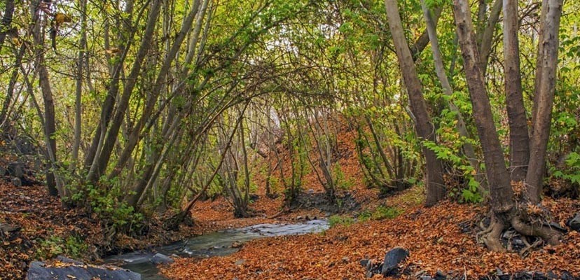  Jagharq village